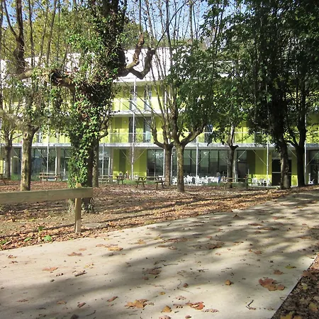 Uba *